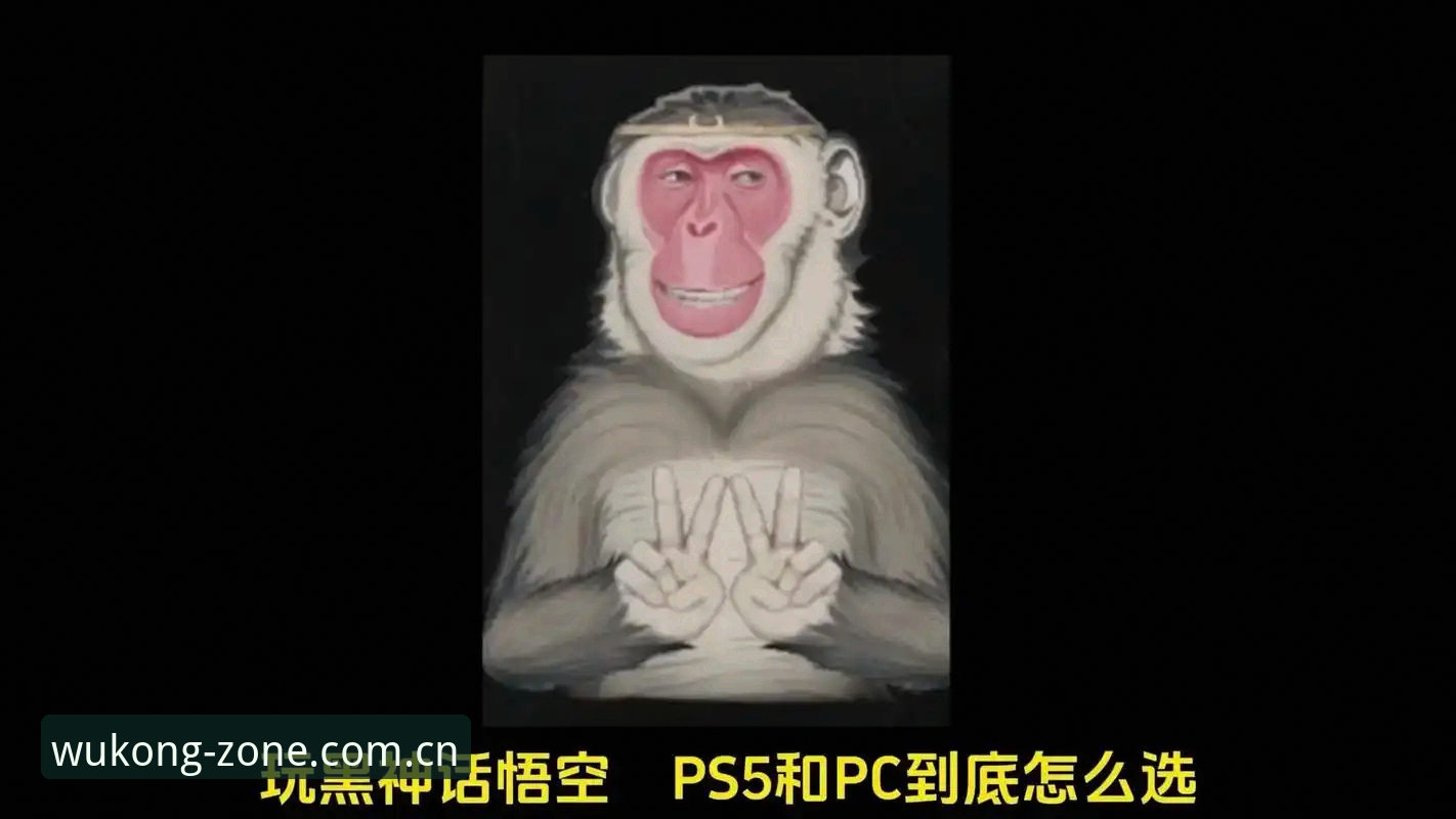 资深用户分享：一块手表被偷之前，我在悟空体育里看到的事